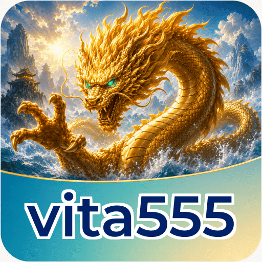 Audit profile vita555